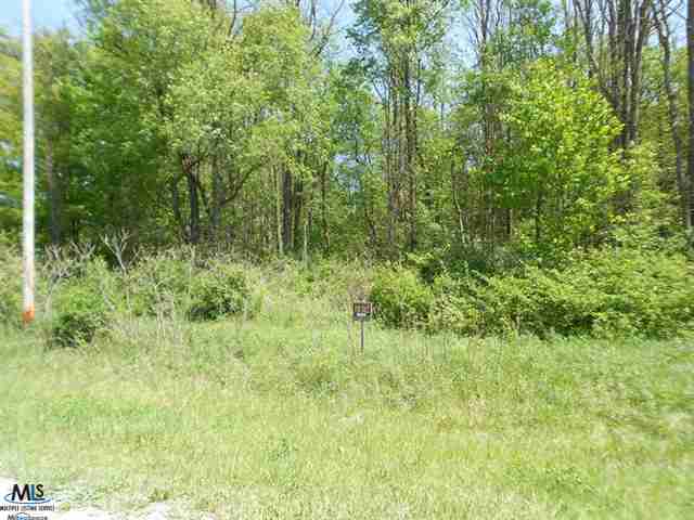 Vl Emerson Road Goodells, MI 48027 - Photo 2 of 6 31207236-1.JPG