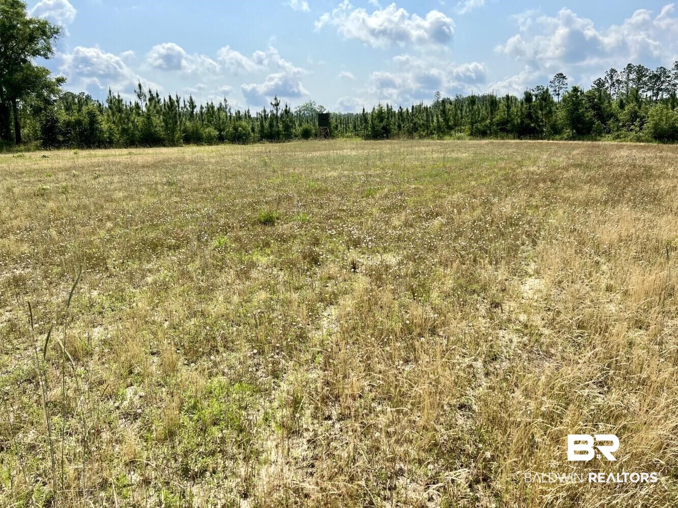 0 Private Road Citronelle, AL 36522 - Photo 6 of 27