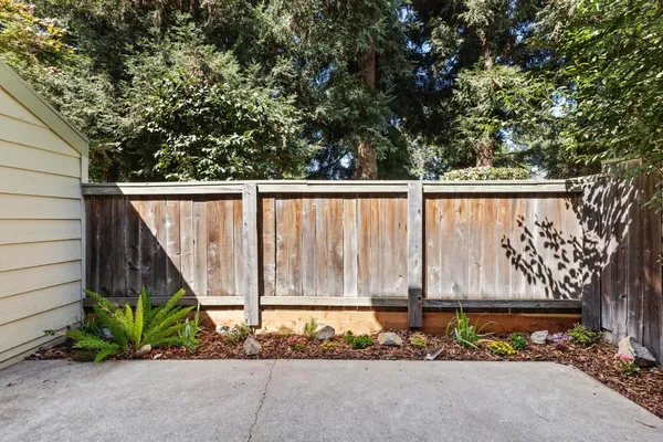 a view of street sign under a large tree