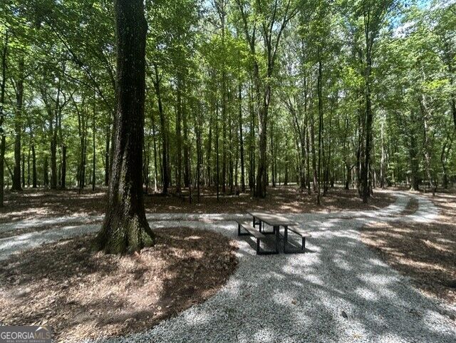 338 Adams Road Union Point, GA 30669 - Photo 2 of 6 Gallery Image 2
