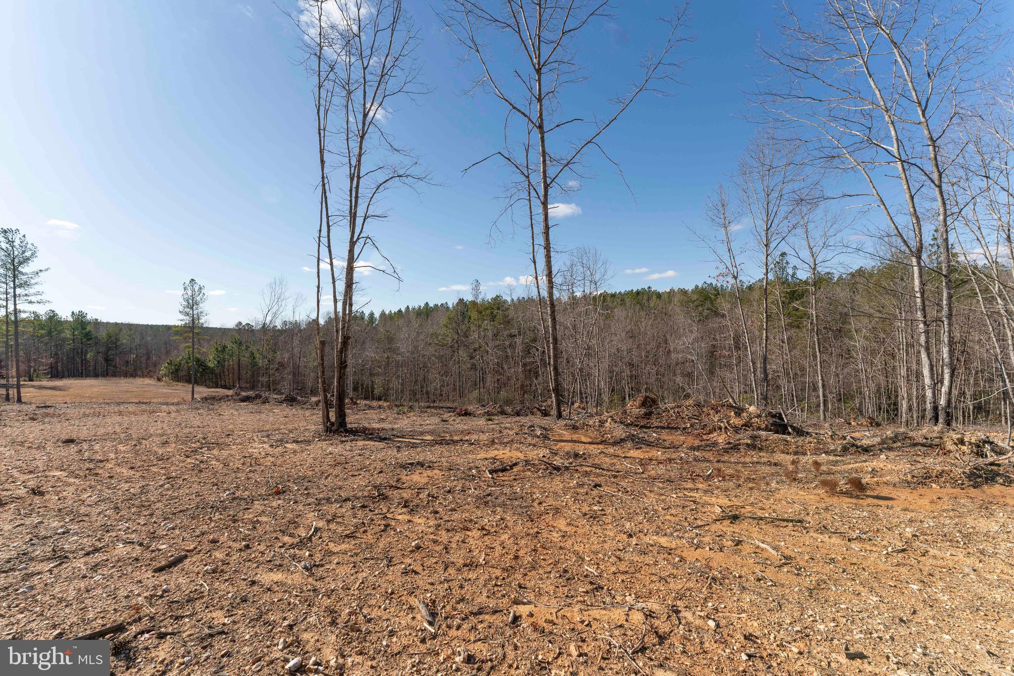 Mt Alto Road Esmont, VA 22937 - Photo 35 of 40 Gallery Image 35