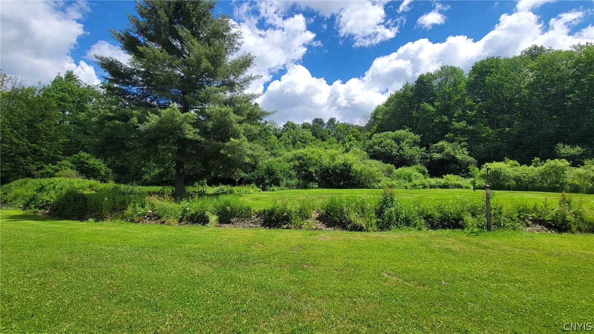 4524 Maybury Road Solon, NY 13101 - Photo 41 of 42 Large yard