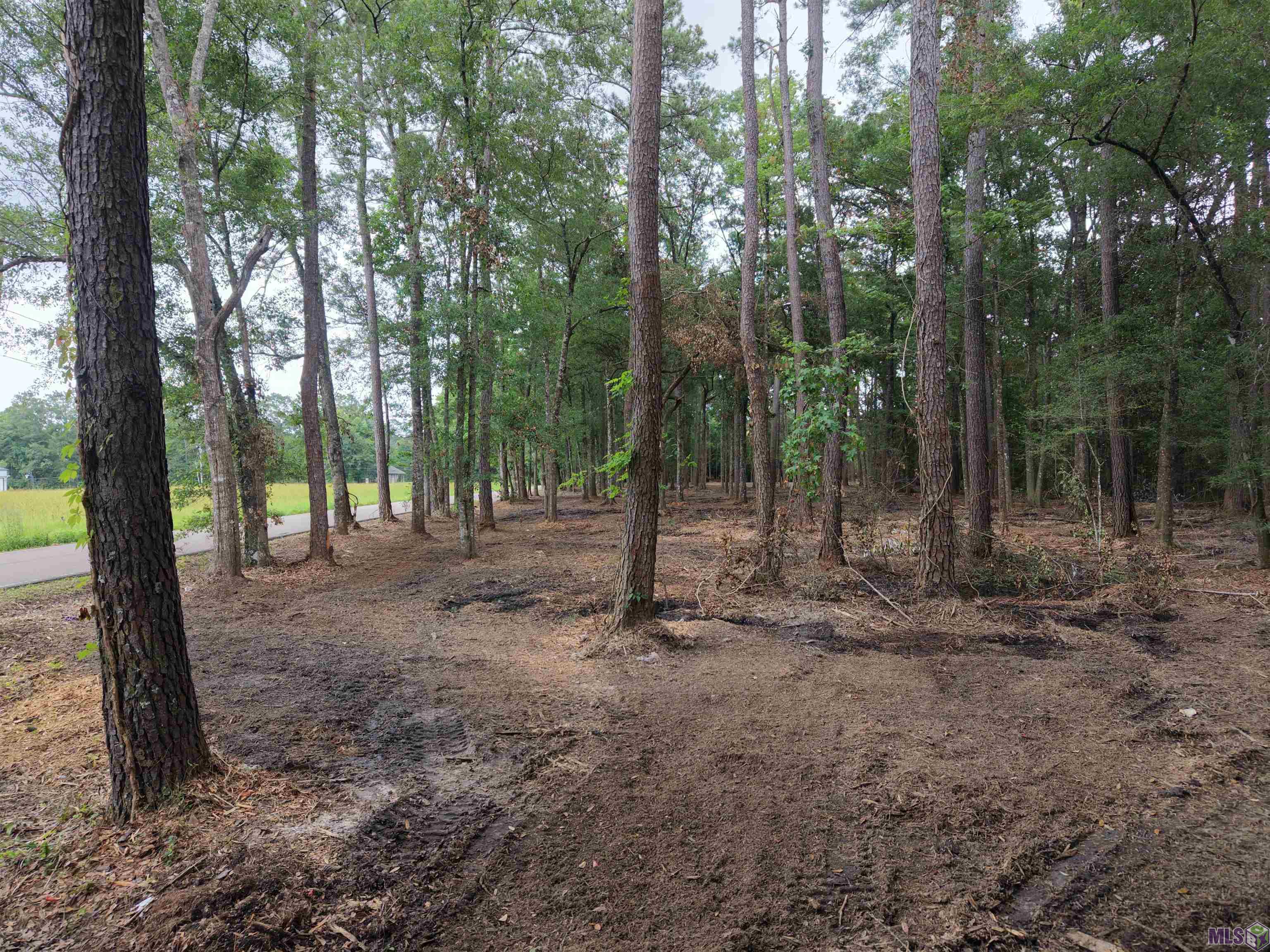 Tract C Esterbrook Road Ponchatoula, LA 70454 - Photo 10 of 13