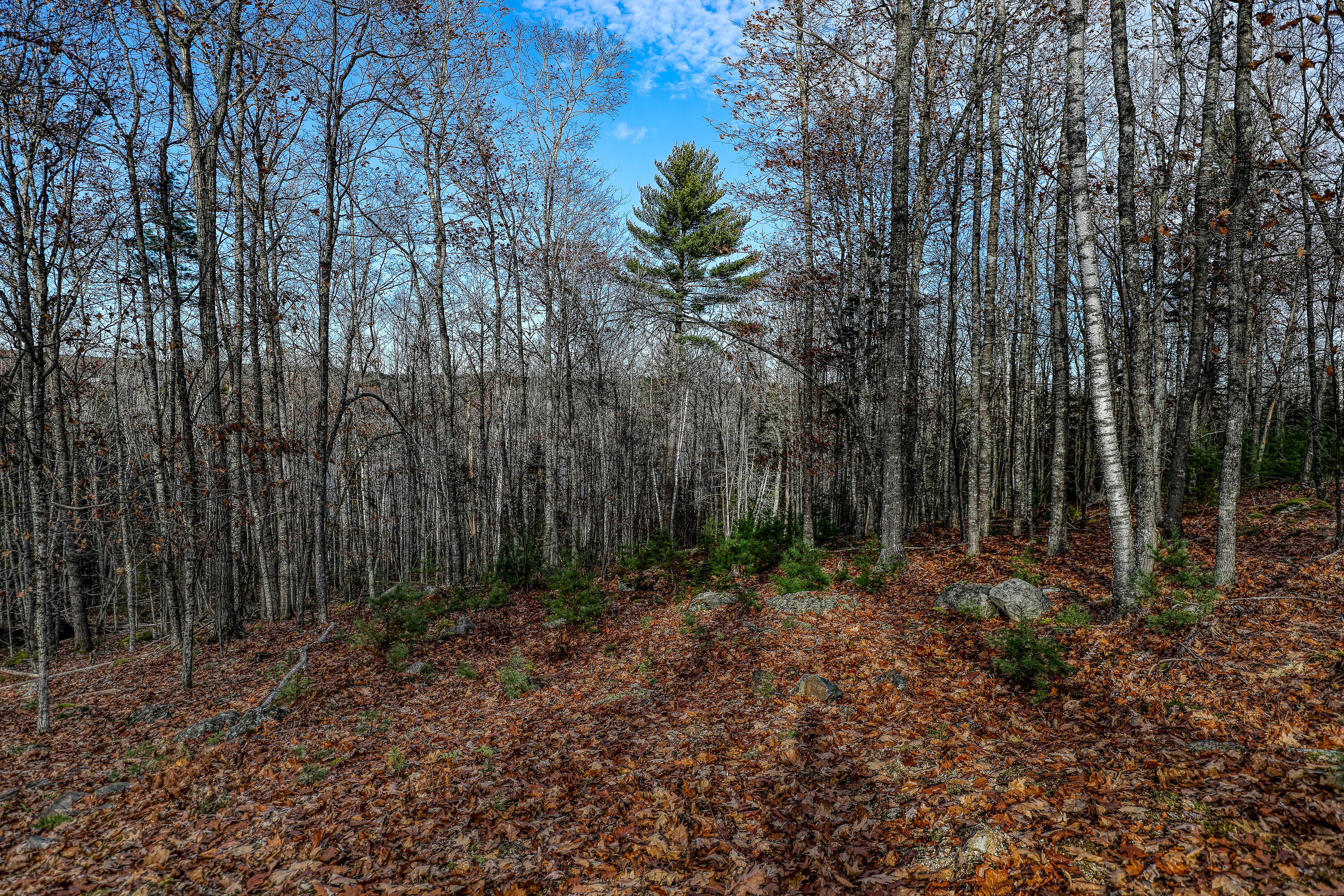5 Newbury Neck Road Surry, ME 04684 - Photo 4 of 7