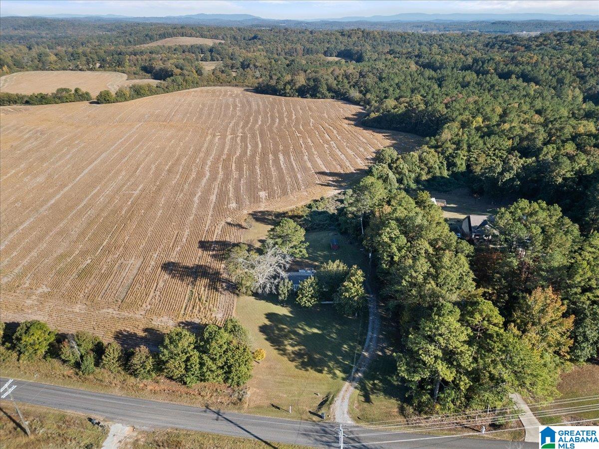 2296 Holly Hills Road Lincoln, AL 35096 - Photo 24 of 31
