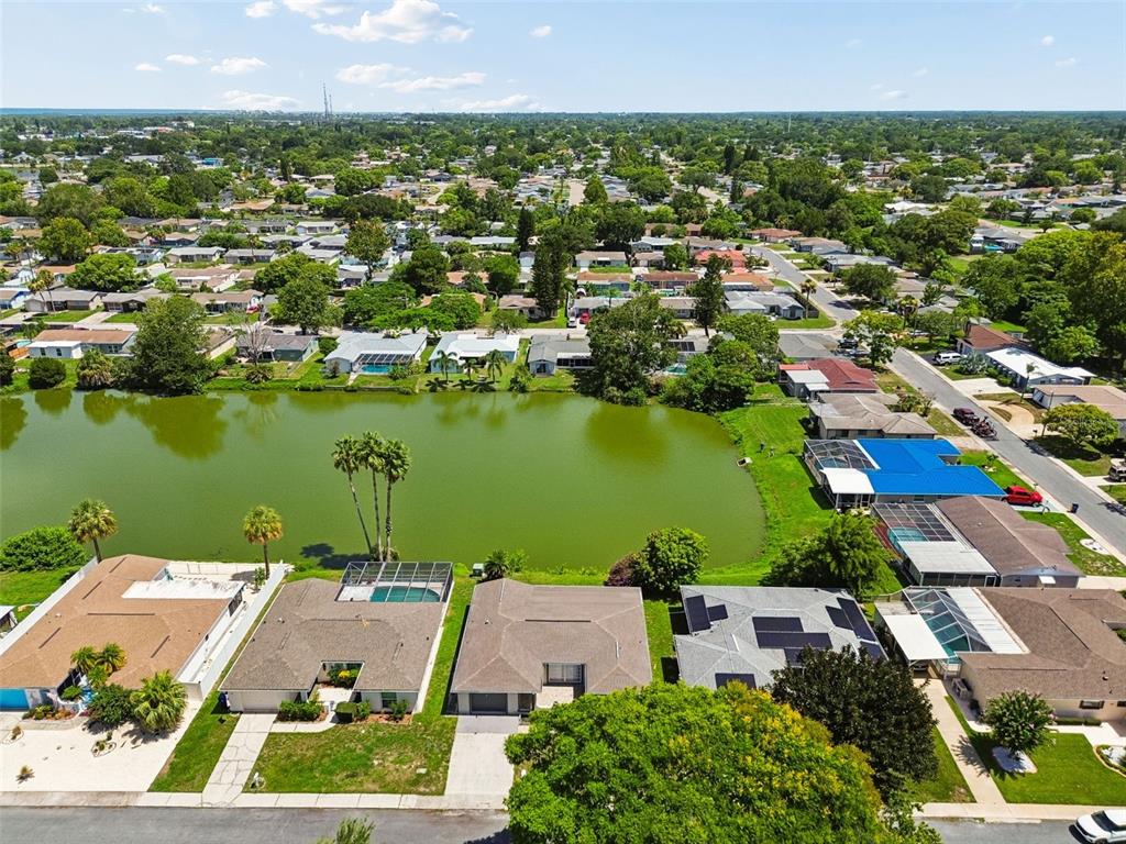 7407 Populus Drive Port Richey, FL 34668 - Photo 81 of 94 Gallery Image 81