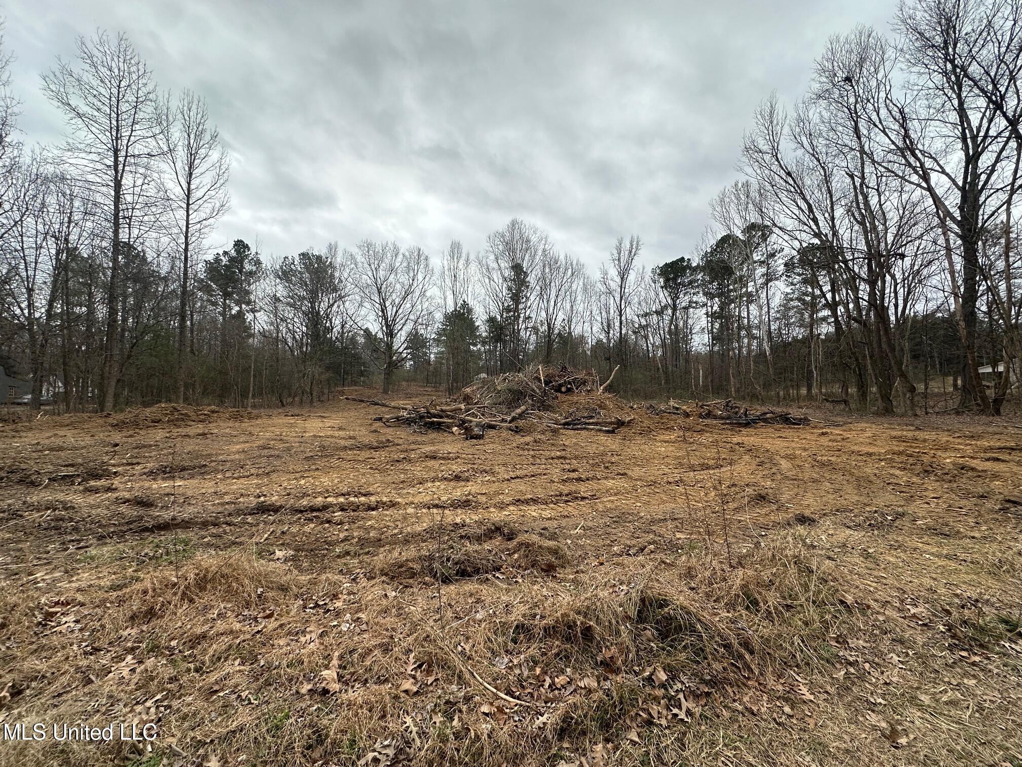 14859 Denman Road Byhalia, MS 38611 - Photo 4 of 4 lot pic