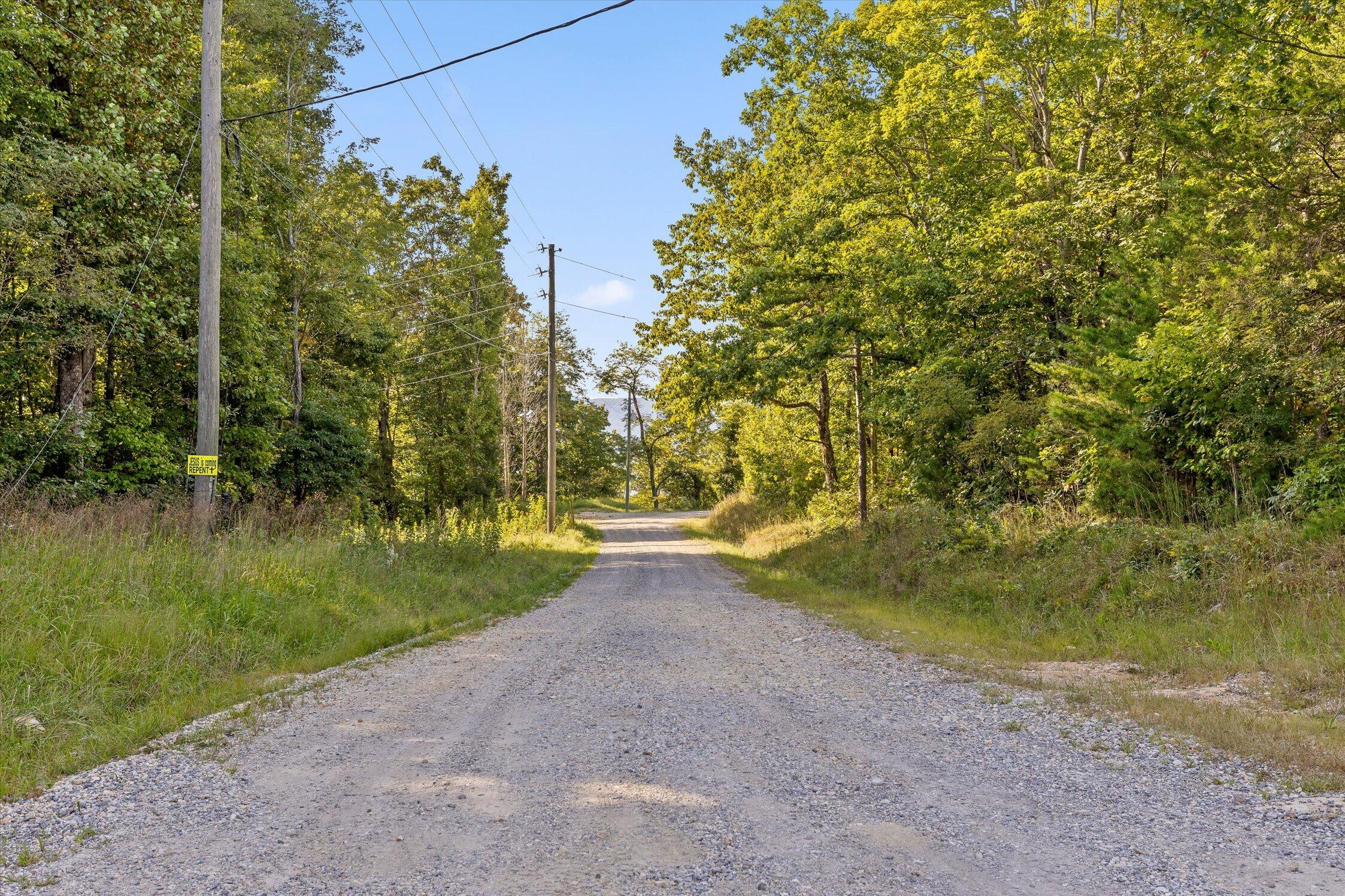 0 Yankee Road Menlo, GA 30731 - Photo 35 of 47 55-Old State Rd-38