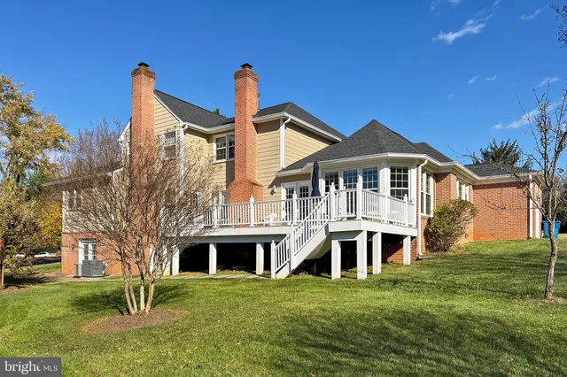 a view of a trees in a park