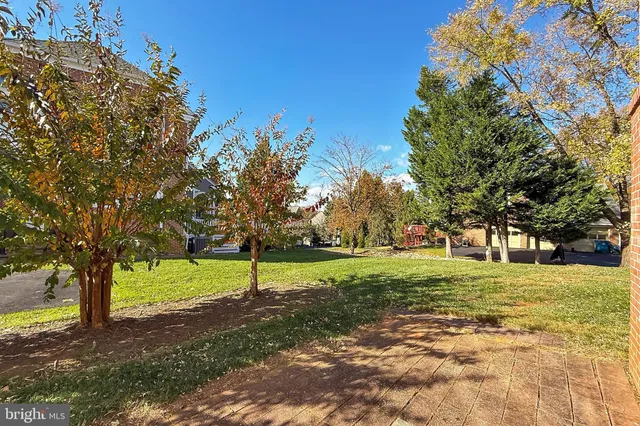 a view of a garden with large tree
