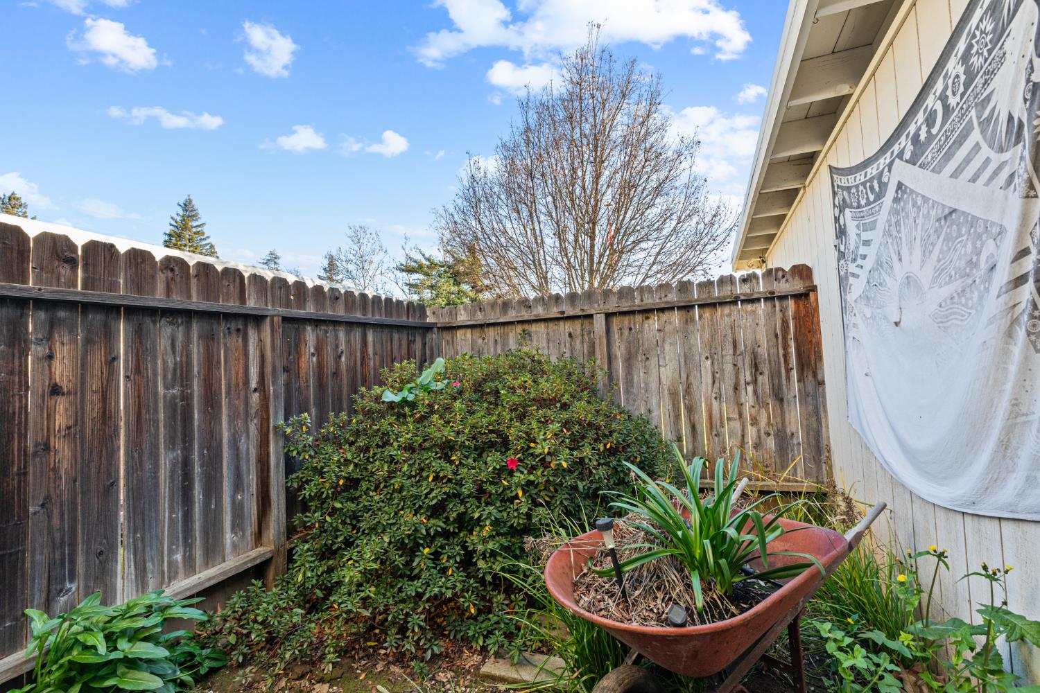 4329 Zephyr Way Sacramento, CA 95821 - Photo 27 of 44 a view of a backyard with plants