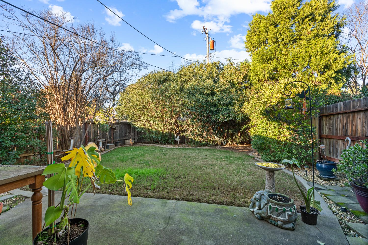 4329 Zephyr Way Sacramento, CA 95821 - Photo 36 of 44 a view of a yard with patio