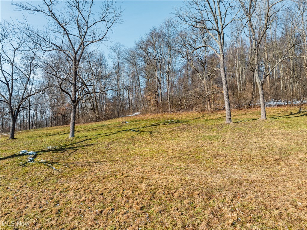 4829 Frys Valley Road Southwest Port Washington, OH 43837 - Photo 40 of 46 View of green lawn with a forest view