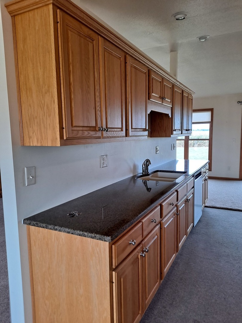 12 Penkins Road Sublette, IL 61367 - Photo 11 of 28