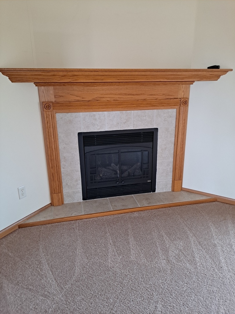 12 Penkins Road Sublette, IL 61367 - Photo 18 of 28