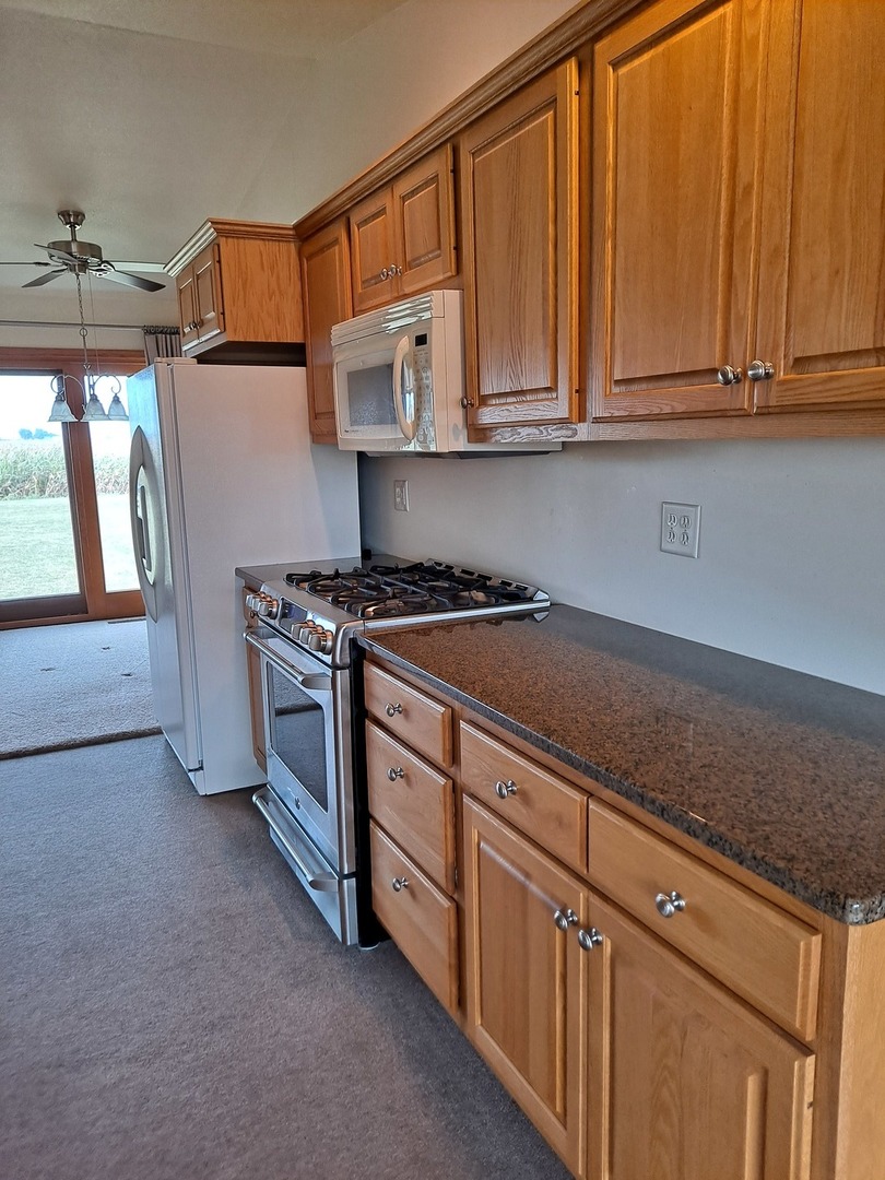 12 Penkins Road Sublette, IL 61367 - Photo 8 of 28
