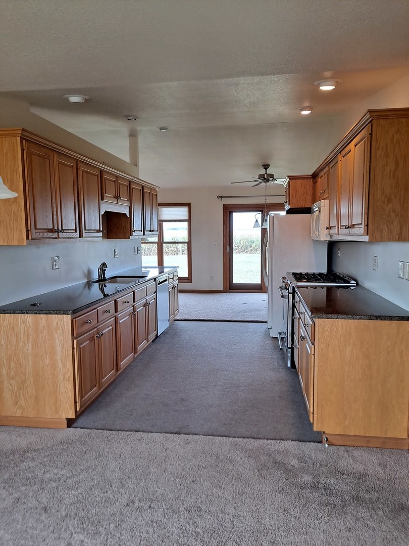 12 Penkins Road Sublette, IL 61367 - Photo 9 of 28