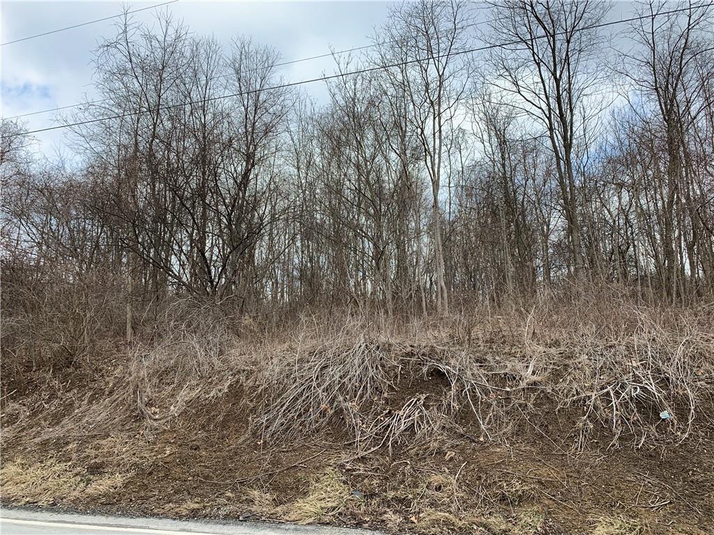 9999 Cedar Ridge Road Allison Park, PA 15101 - Photo 6 of 7 Gallery Image 6