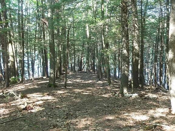 Lot 36-5 Union Falls Road Buxton, ME 04093 - Photo 4 of 14 water2
