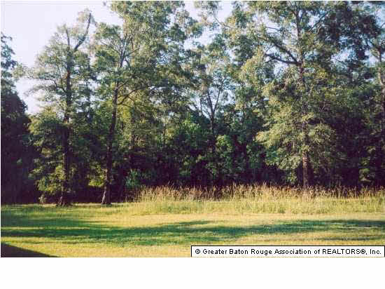 33180 Mack Road Walker, LA 70785 - Photo 4 of 4 Gallery Image 4