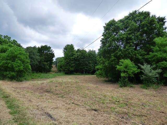 Tbd Avis Road Greenville, VA 24440 - Photo 1 of 8 Gallery Image 1