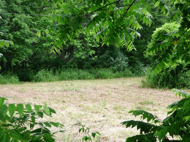 Tbd Avis Road Greenville, VA 24440 - Photo 2 of 8 Gallery Image 2