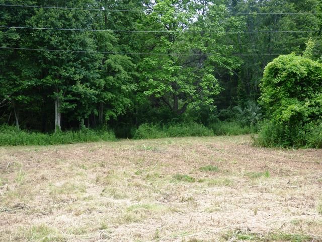 Tbd Avis Road Greenville, VA 24440 - Photo 4 of 8 Gallery Image 4