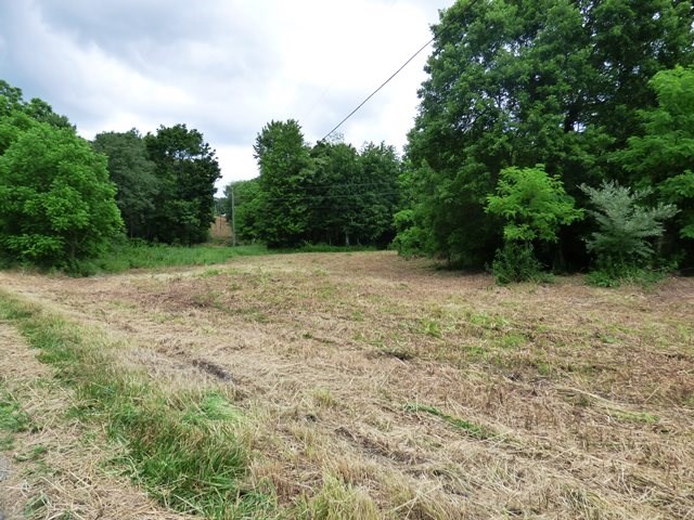 Tbd Avis Road Greenville, VA 24440 - Photo 5 of 8 Gallery Image 5