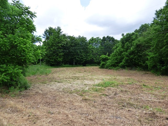 Tbd Avis Road Greenville, VA 24440 - Photo 6 of 8 Gallery Image 6