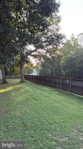 a view of a tree in a yard
