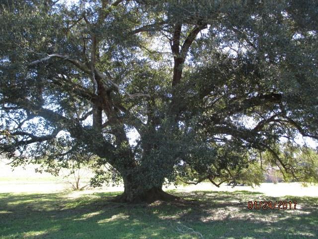 598 River Road Alexandria, LA 71302 - Photo 3 of 20 Gallery Image 3