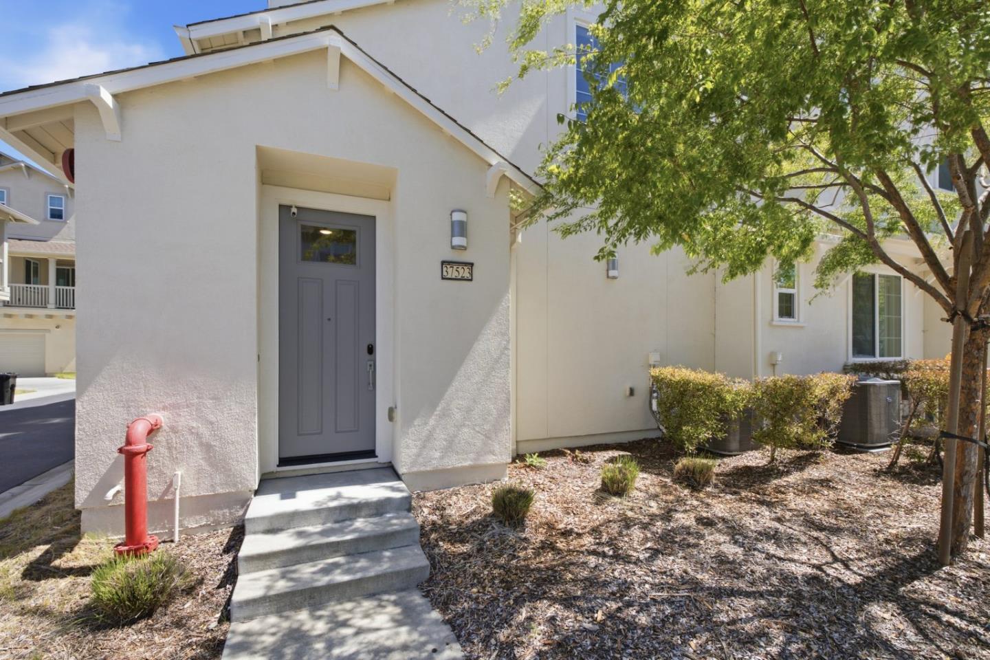 37523 Shelter Road Newark, CA 94560 - Photo 35 of 44