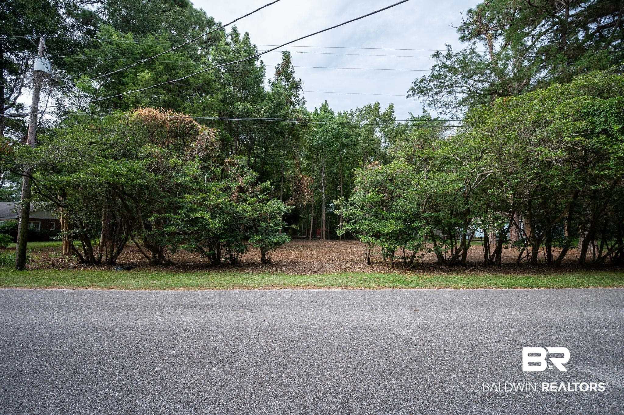 2318 Burgett Road Mobile, AL 36605 - Photo 4 of 26 View of road