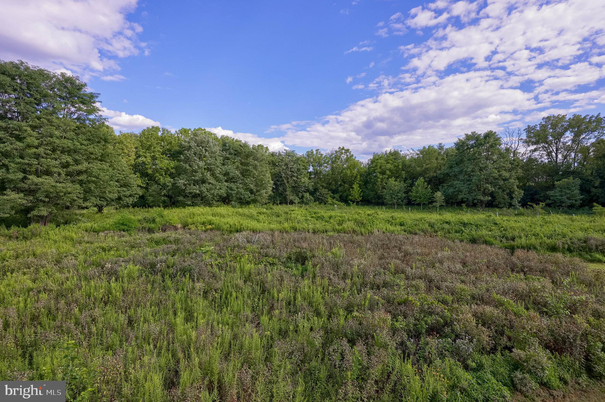 1639 Parvin Road Lancaster, PA 17601 - Photo 39 of 45 Gallery Image 39