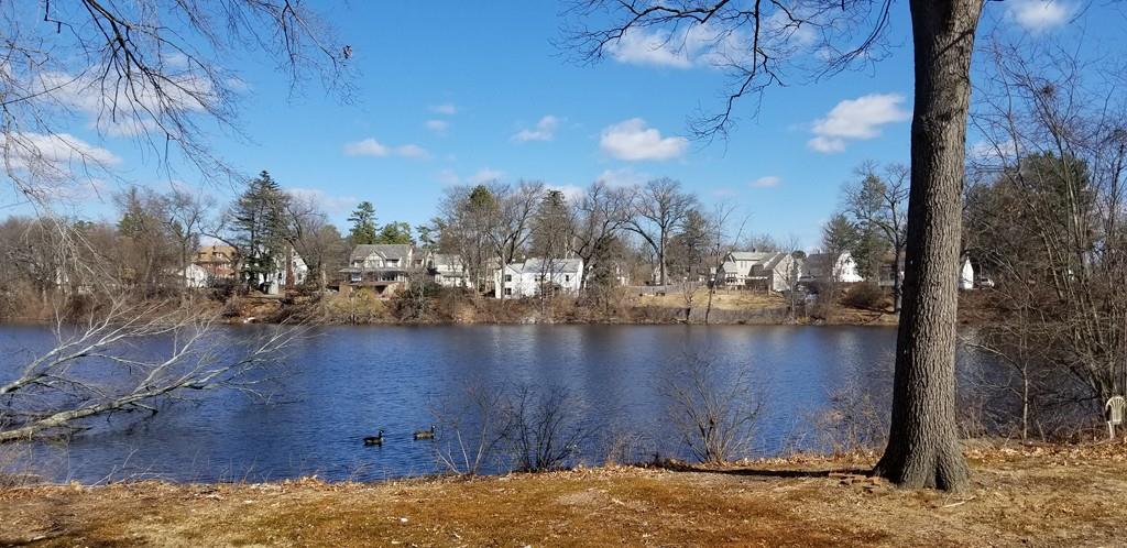 90 Darling Street Springfield, MA 01151 - Photo 42 of 42 a view of a lake