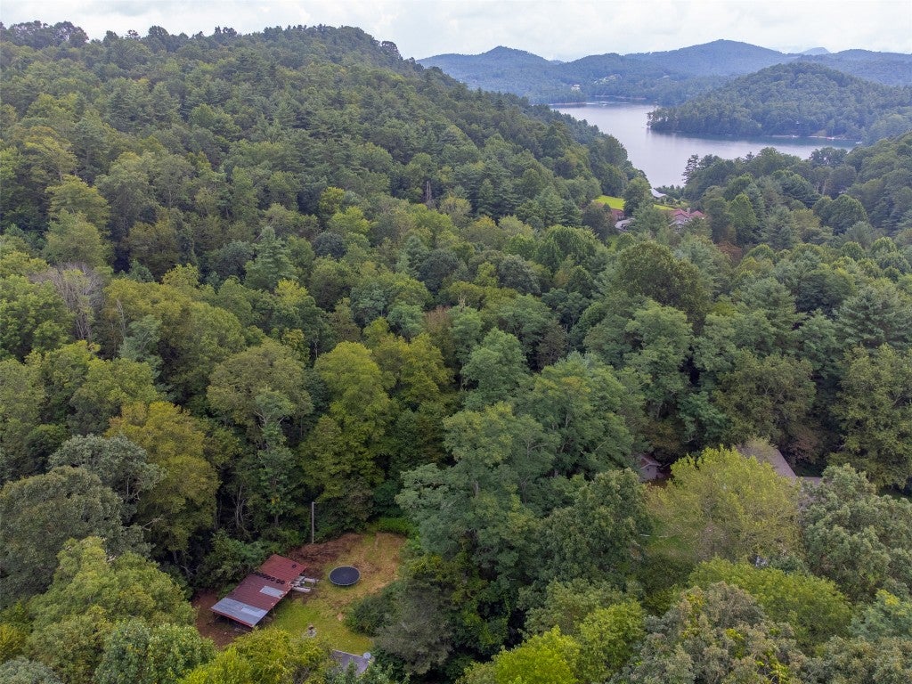 3558 North Norton Road Cullowhee, NC 28723 - Photo 56 of 59 Gallery Image 56