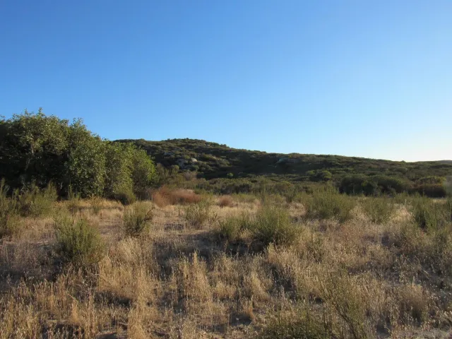 a view of lake with mountain