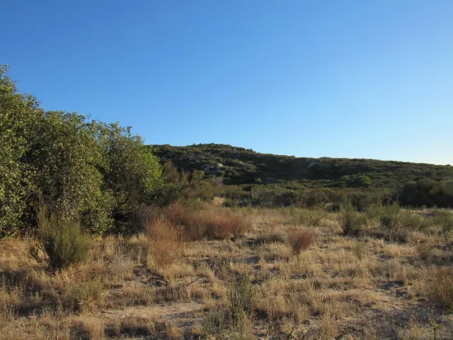 a view of a lake with mountains in the background