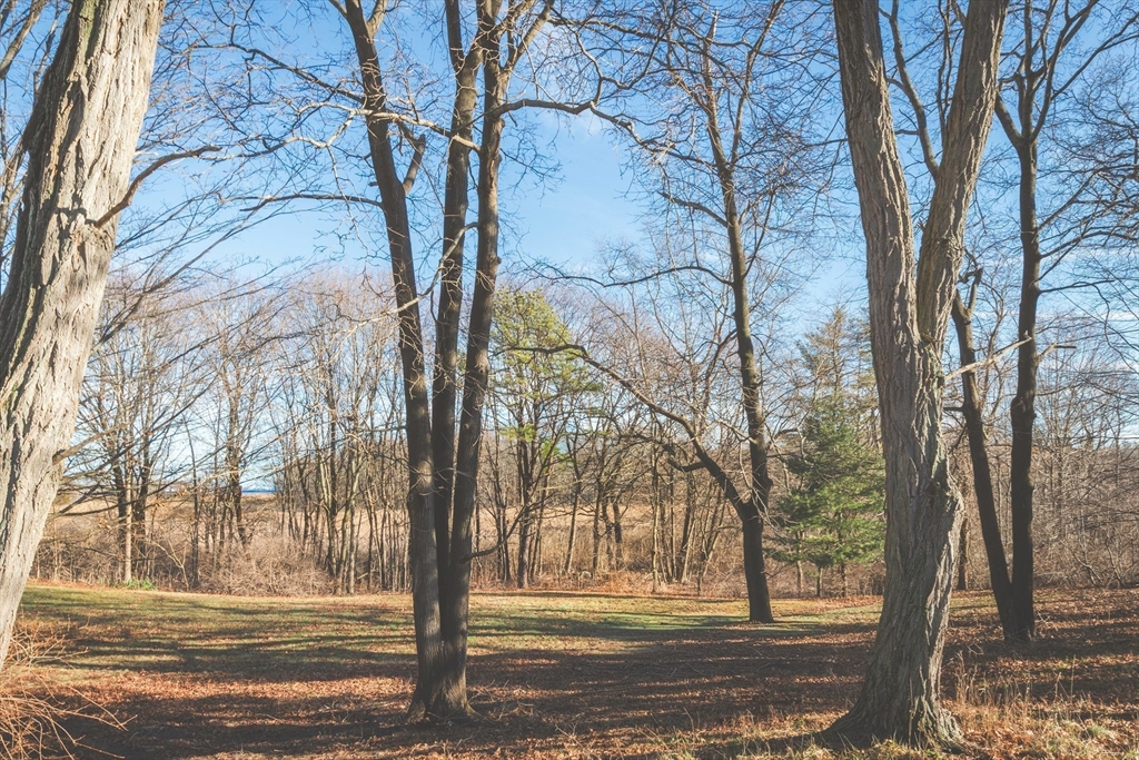 23 Jeffrey's Neck Road Ipswich, MA 01938 - Photo 10 of 12 Gallery Image 10