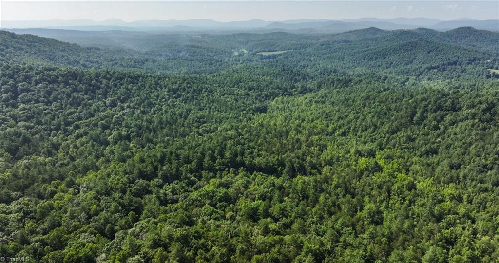 0 Boone Trail Purlear, NC 28665 - Photo 11 of 40 Gallery Image 11
