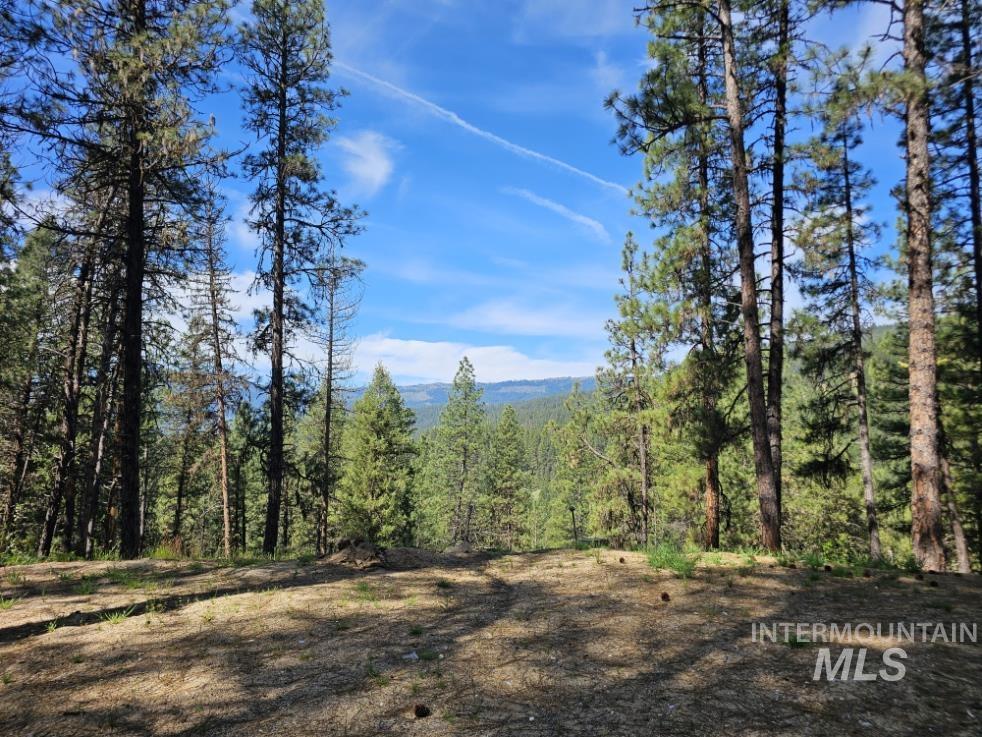 17 Thunder Road Garden Valley, ID 83622 - Photo 1 of 13