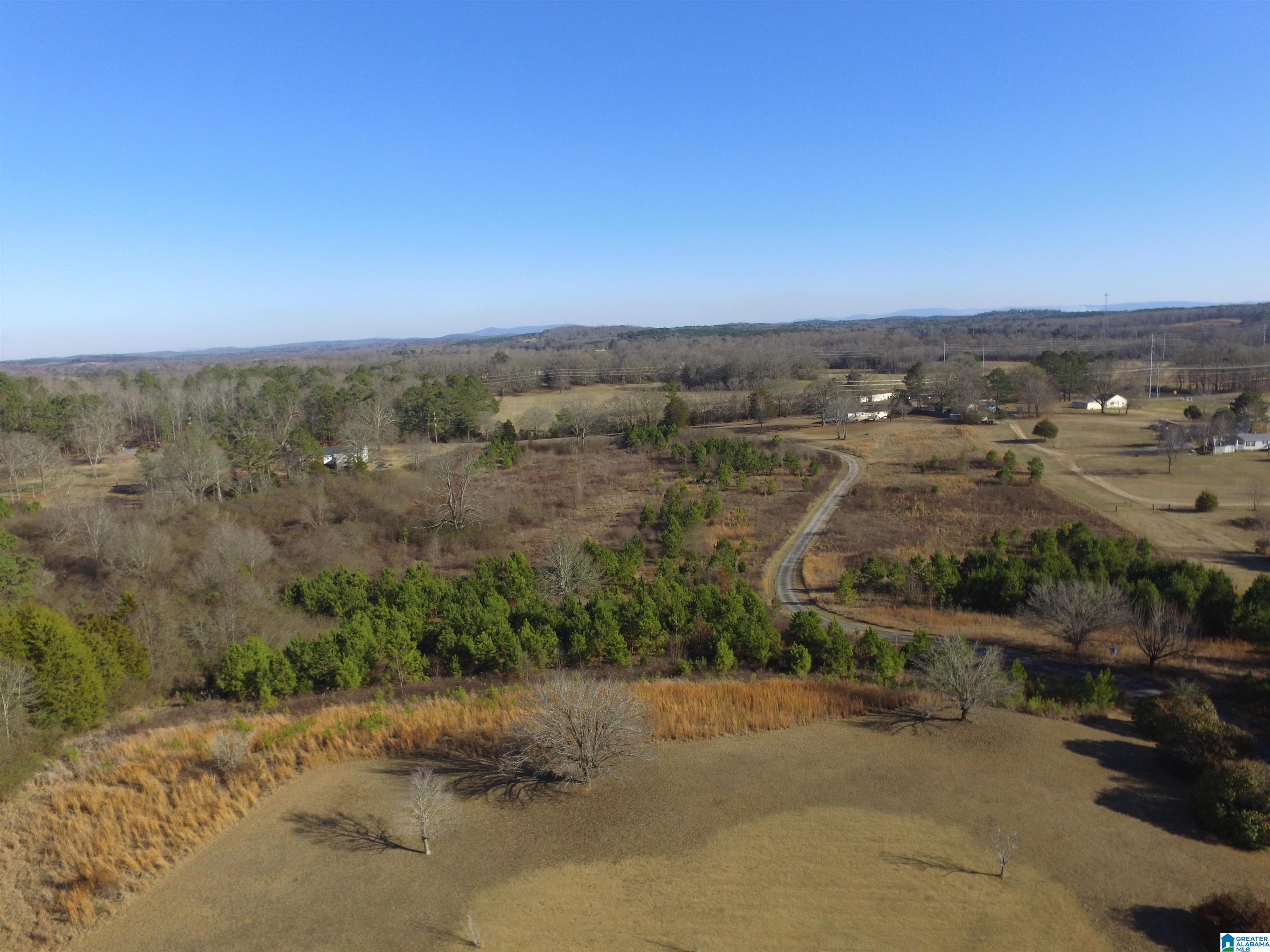 439 Holly Hills Road Lincoln, AL 35096 - Photo 28 of 32 Gallery Image 28