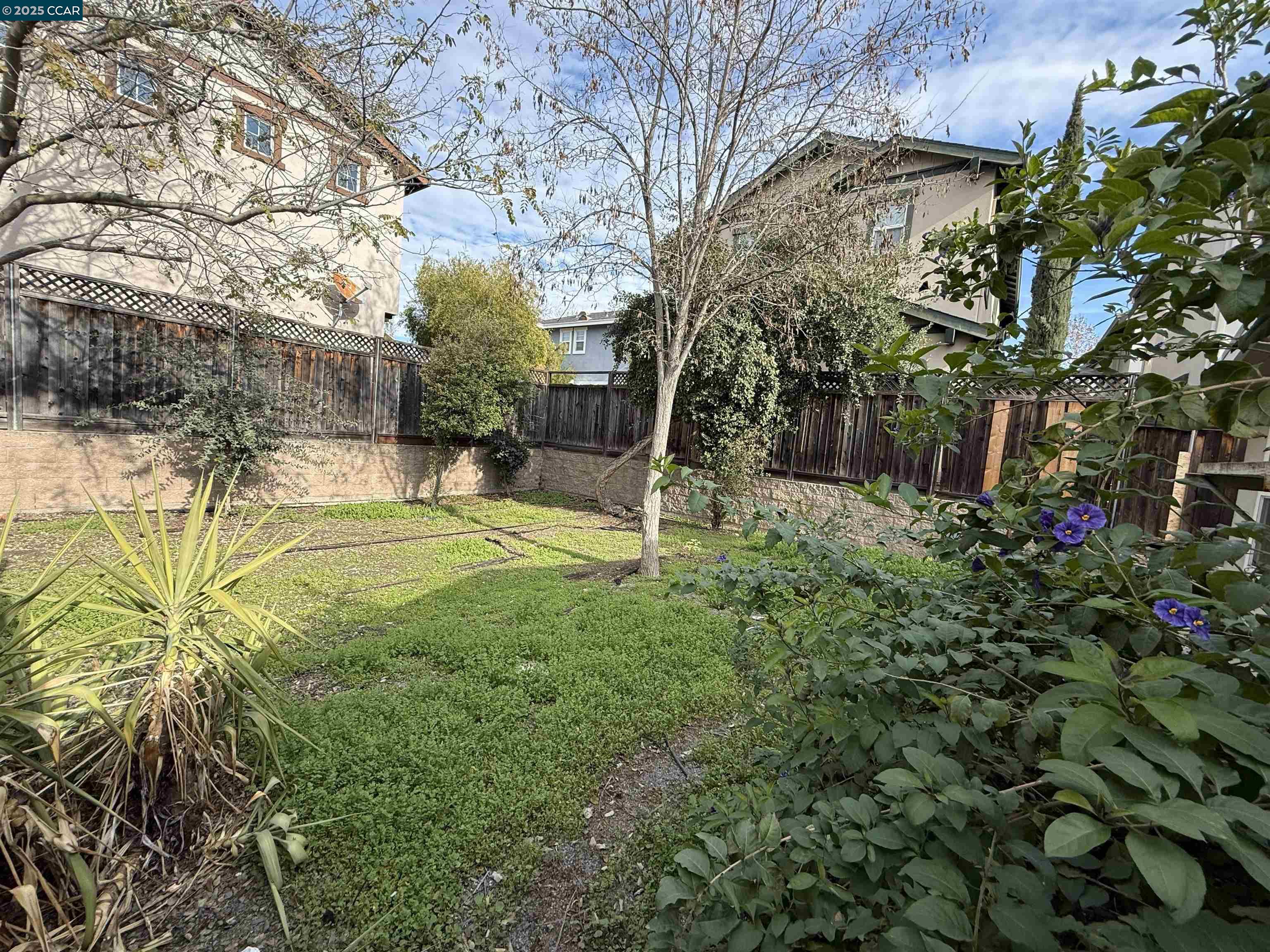 2875 Euclid Avenue Concord, CA 94519 - Photo 3 of 3