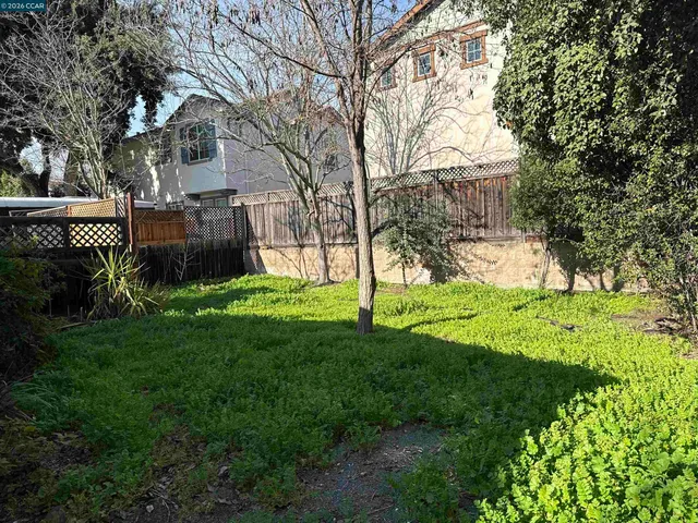 a view of back yard of the house