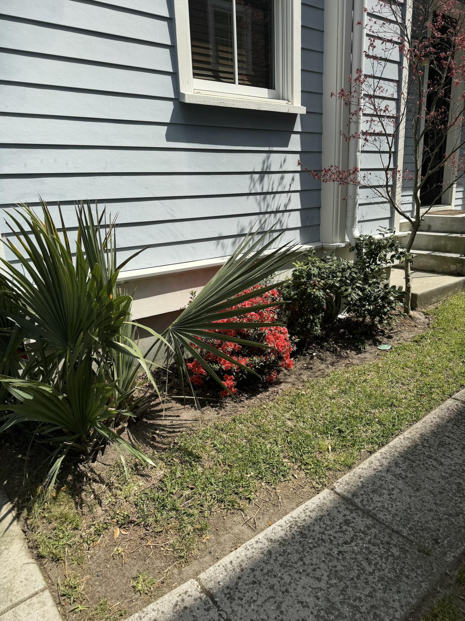 71 Bogard Street Charleston, SC 29403 - Photo 4 of 46 IMG_0948