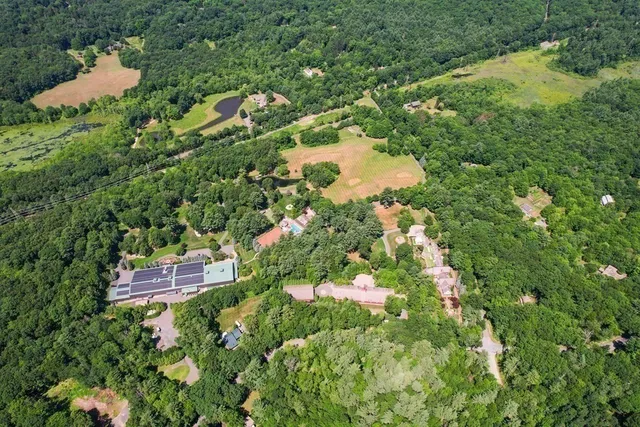 a view of a lush green forest with trees and houses