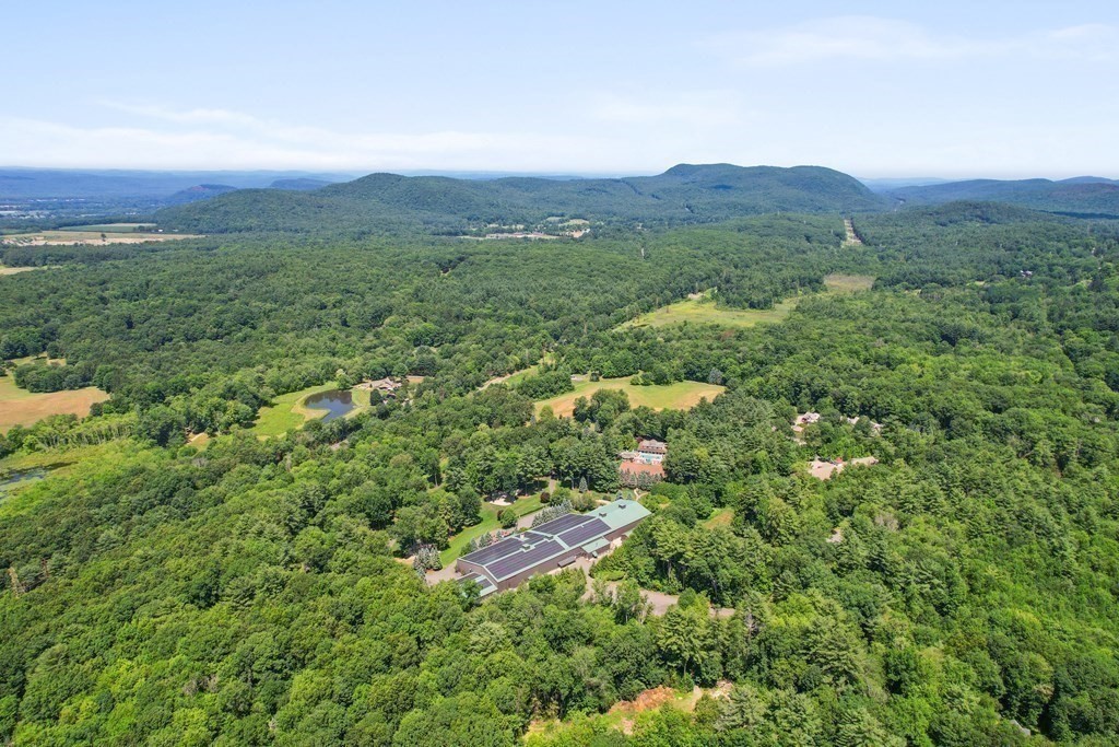 113 Juggler Meadow Road Leverett, MA 01054 - Photo 6 of 37 a view of a lush green forest with trees and houses