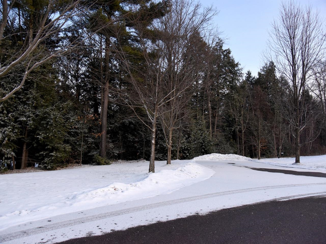 209 Fox Run Colchester, VT 05446 - Photo 43 of 46