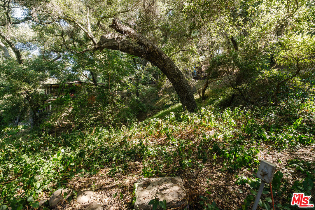 1289 Old Topanga Canyon Road Topanga, CA 90290 - Photo 28 of 53