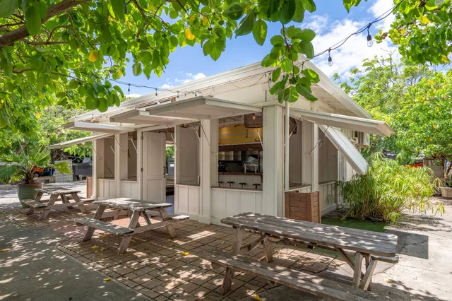 a front view of a house with a tree